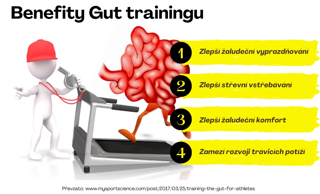 benefity gut trainingu